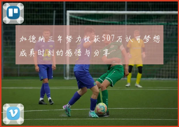 加德纳三年努力收获507万认可梦想成真时刻的感悟与分享